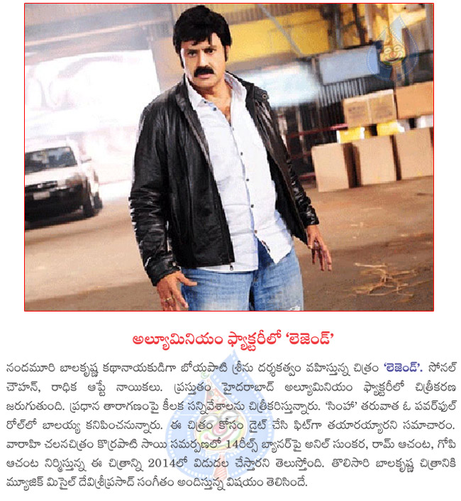 legend shooting ataluminium factory,legend film news,nandamuri balakrishna as legend  legend shooting ataluminium factory, legend film news, nandamuri balakrishna as legend